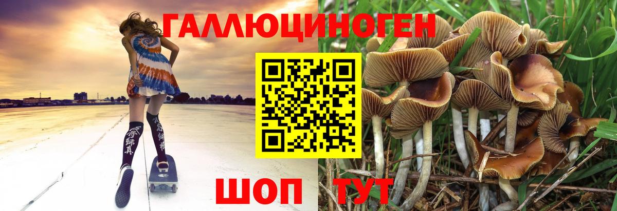 Серов  Галлюциногенные грибы Cubensis  Вход с VPN 