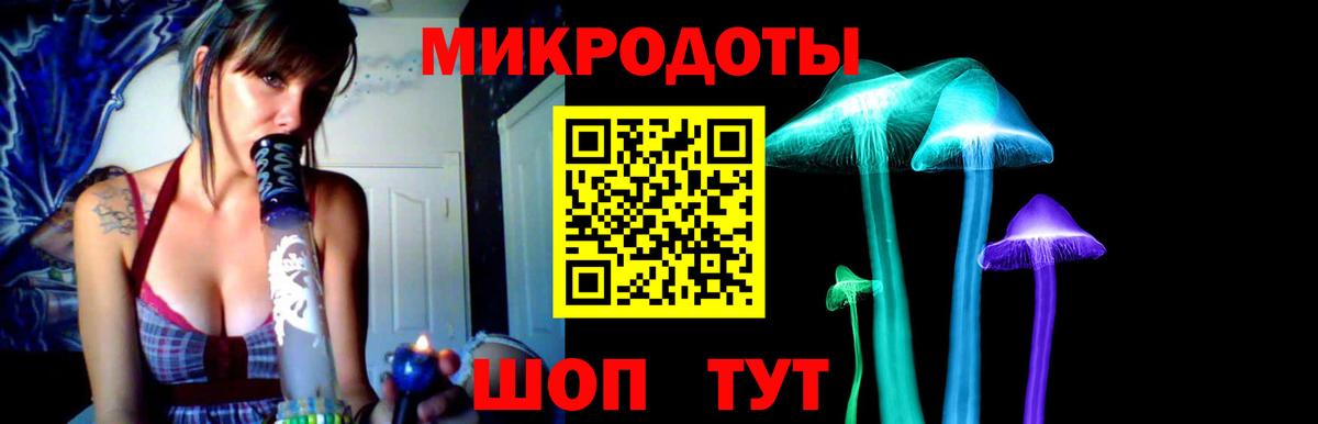 Галлюциногенные грибы Cubensis Серов